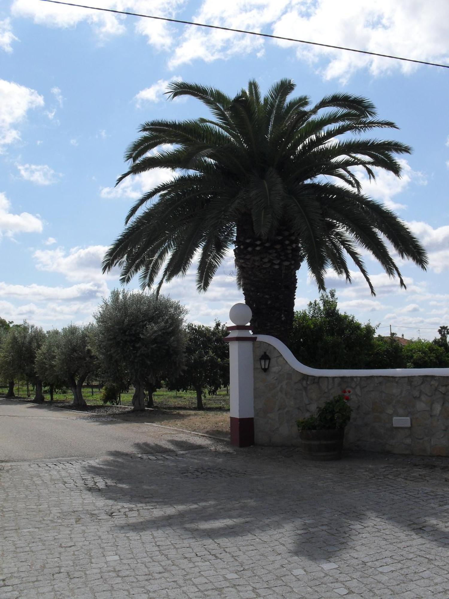 Terras de Monsaraz Reguengos de Monsaraz Exterior foto